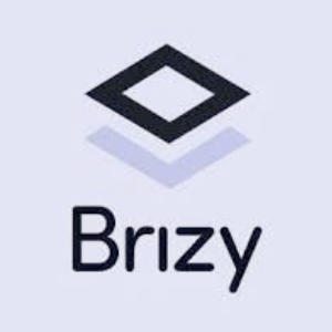 Brizy logo