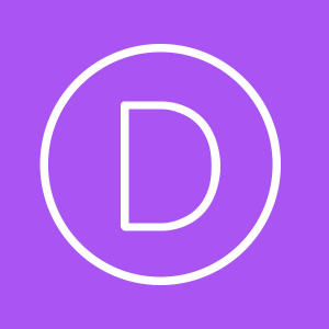 Divi logo