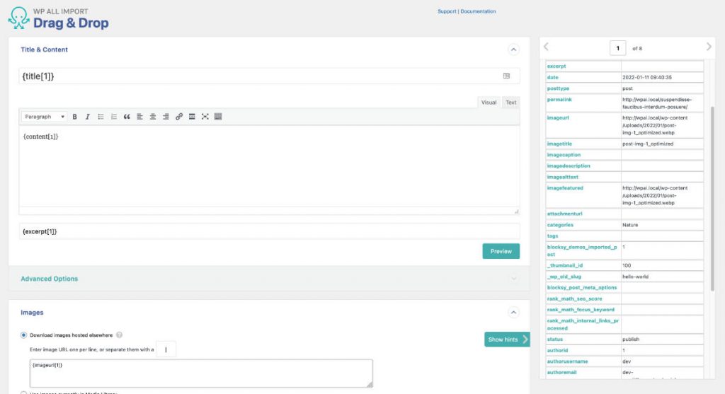 WP All Import map your fields